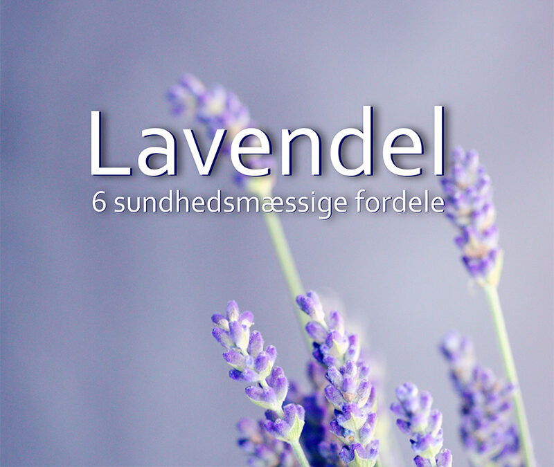 Lavendel – beroligende aromaterapi