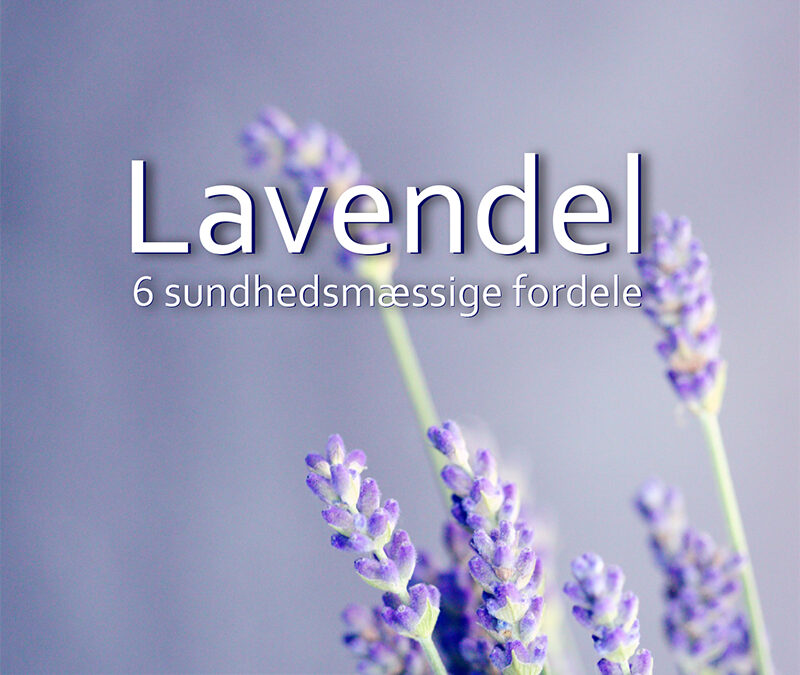 fordele ved lavendel